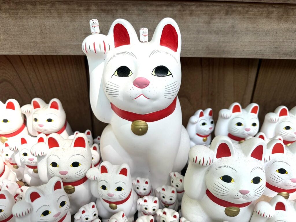 豪徳寺の招き猫「招福猫児」