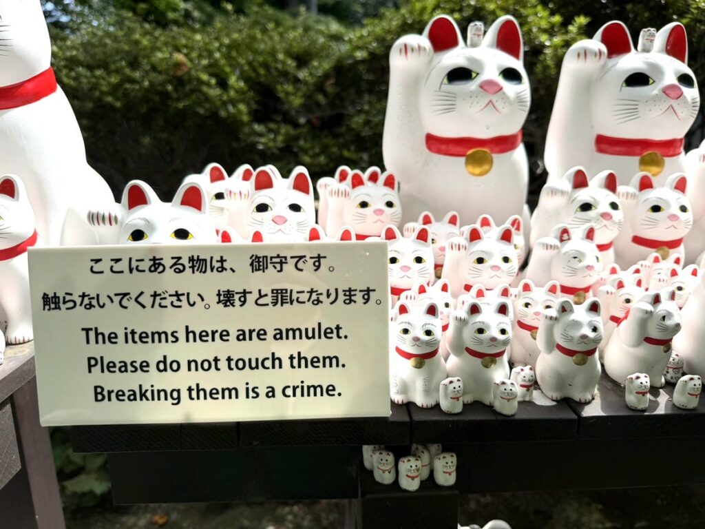 豪徳寺の招福猫児に触れないよう案内する表示