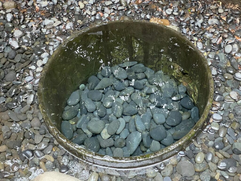明治神宮御苑の清正井の澄んだ水
