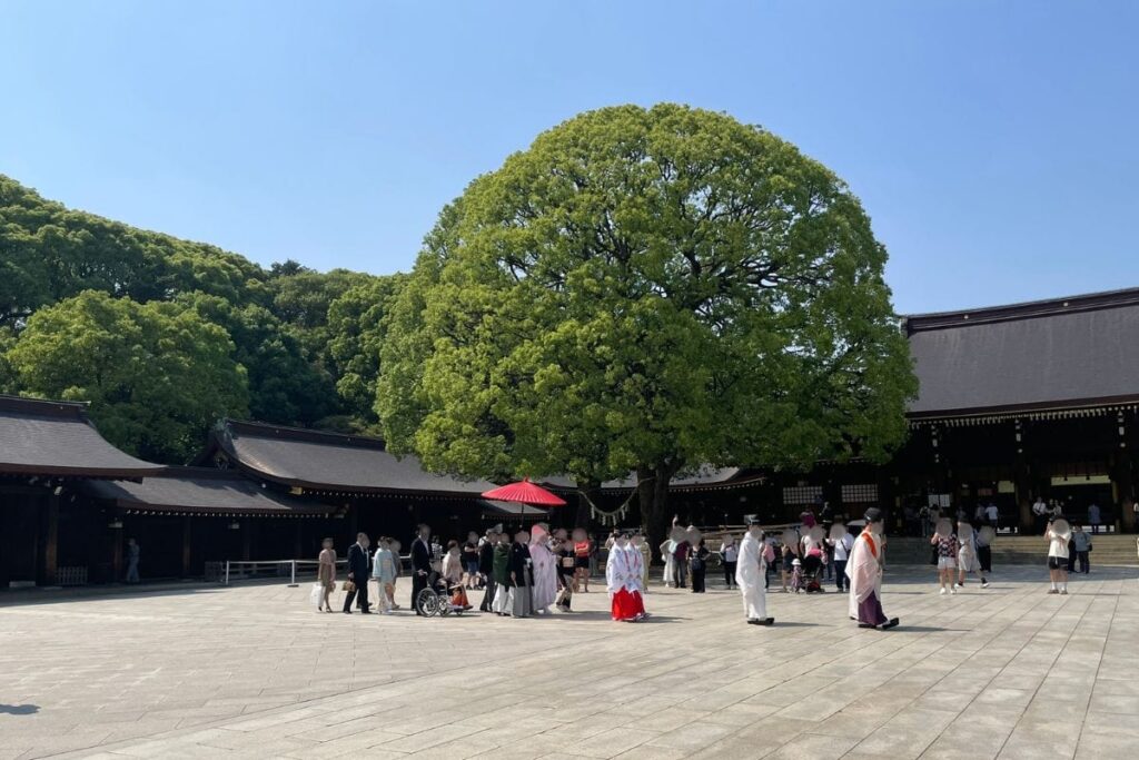 明治神宮で見かけた神前結婚式の一行