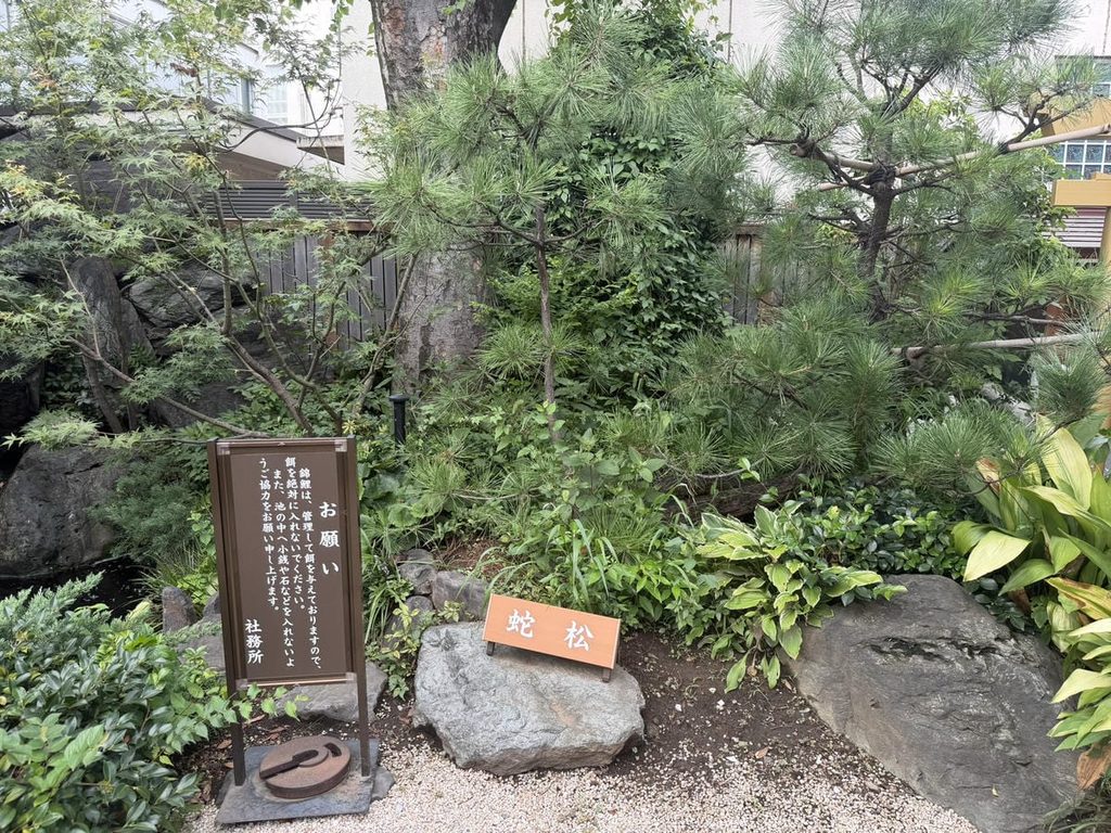 蛇窪神社の蛇松