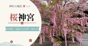 桜神宮の河津桜と縁結びの花帯を使った記事アイキャッチ画像